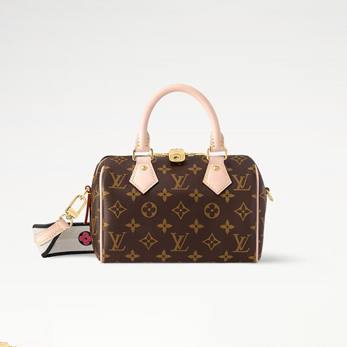 lv louis vuitton speedy bandoulière 20 bag #m46234